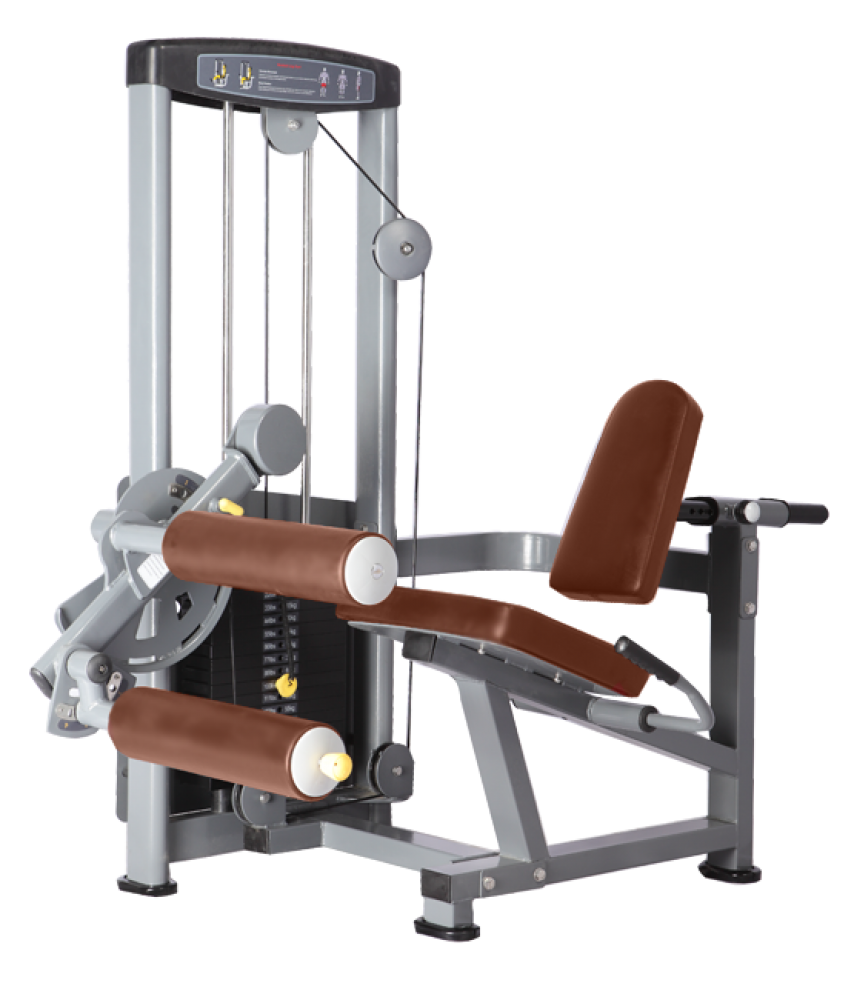 Сгибание ног. Bronze Gym MNM-012a. Силовая рама body Solid Powerline ppr178x/ppr200x. Bronze Gym MNM-009. Силовая рама Bronze Gym h-021.