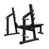     BRONZE GYM PARTNER AL-304L    vasil gym b-009   -      .    