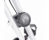   X-Bike DFC PLENY CF-917FM-2      -      .    