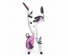   X-Bike DFC PLENY CF-917FM-2      -      .    