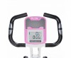   X-Bike DFC PLENY CF-917FM-2      -      .    