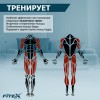 ���������� ������������ PREMIER PROF-M ����-���� ���������������� - ���������� ������� � ������ ��������� . ���������� ������� � �������������