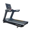     Gymmaster FT-T919 -      .    