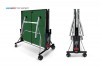   Start Line Top Expert    6045-1 vasil -      .    