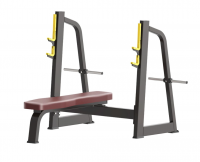     Protrain BPL143    ARMS -      .    