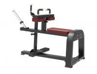   Protrain BPL162    s-dostavka -      .    