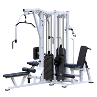 ���������������� ������� �������� ������������� ������� Sabirgym SG097�4�100 ����� 4�100 �� ironking - ���������� ������� � ������ ��������� . ���������� ������� � �������������