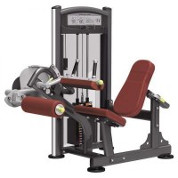   Aerofit IT9306    -      .    