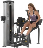   CYBEX VR1 Back Extension 13100 -      .    