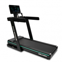   BRONZE GYM WALKWAY    -      .    