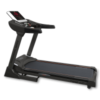   Bronze gym T812 LC  -      .    