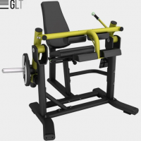 GLT PL34      vasil gym-123  -      .    