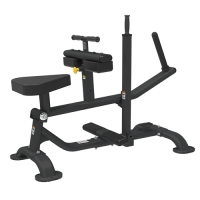 BRONZE GYM PL-1719   -      .    