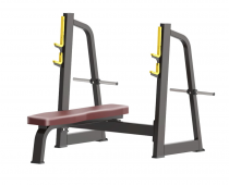     Protrain BPL143    ARMS -      .    