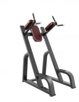 / Protrain BPL147    vasilgym -      .    