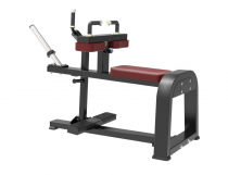   Protrain BPL162    s-dostavka -      .    