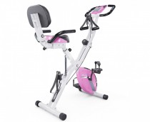   X-Bike DFC PLENY CF-917FM-2      -      .    