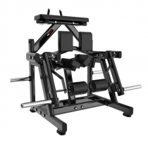         Protrain LFP166 s-dostavka -      .    