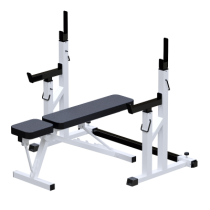 ���������������� ������� �������� ������ ������� �� �������� Sabirgym SG004.1 �a������� - ���������� ������� � ������ ��������� . ���������� ������� � �������������