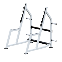 ���������������� ������� �������� ��� ���������� Sabirgym SG018.1 ����� �������� - ���������� ������� � ������ ��������� . ���������� ������� � �������������