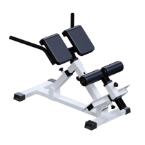 �������������� ������������ Sabirgym SG026.2 ���������������� ������� �������� ��������� - ���������� ������� � ������ ��������� . ���������� ������� � �������������