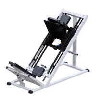 ���������������� ������� �������� ��� ������+���� ������ Sabirgym SG035.2 ����������� - ���������� ������� � ������ ��������� . ���������� ������� � �������������