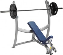   CYBEX OLYMPIC INCLINE BENCH 16050 -      .    