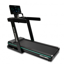   BRONZE GYM WALKWAY    -      .    