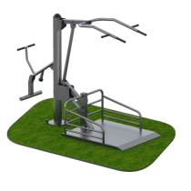 ���������������� �������� ��� ����� ������������ � ��� ������ Sabirgym SGINVAR013 - ���������� ������� � ������ ��������� . ���������� ������� � �������������