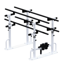 ������ ���������������� � ������������� Sabirgym SGINVAR205 black step - ���������� ������� � ������ ��������� . ���������� ������� � �������������