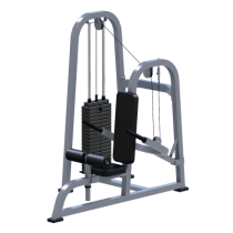 ���������������� ������� �������� ��� � ���� Sabirgym SGMSX210 ���� 100 �� ����� ���� - ���������� ������� � ������ ��������� . ���������� ������� � �������������