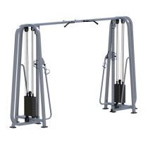 ���������������� ������� �������� ��������� Sabirgym SGMS700*100 2 ����� �� 100 �� iron king - ���������� ������� � ������ ��������� . ���������� ������� � �������������