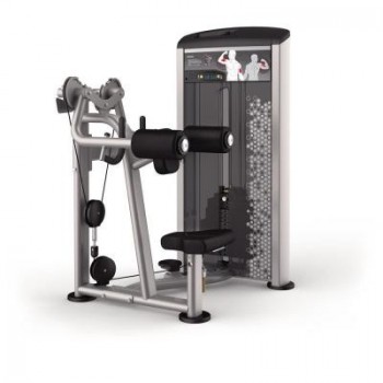   Aerofit IE9524 -      .    