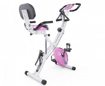   X-Bike DFC PLENY CF-917FM-2      -      .    