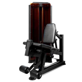    BRONZE GYM PARTNER ML-801     vasil  b-300 -      .    