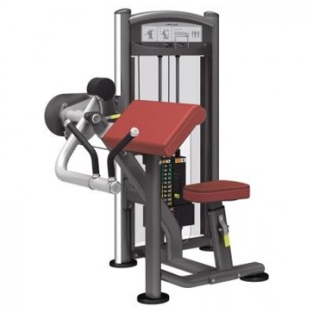   Aerofit IT9303  -      .    