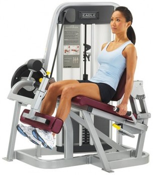   CYBEX Eagle 11050 -      .    