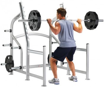   CYBEX SQUAT RACK 16230 -      .    