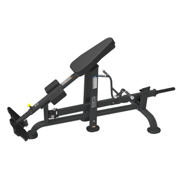 BRONZE GYM PL-1718 -  -      .    